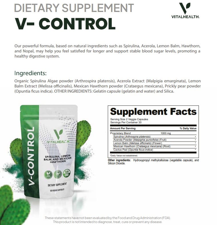 V-Control 2 V-Control